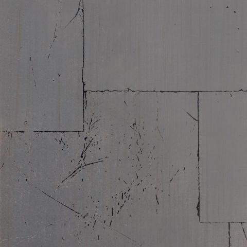 Foglia Argento Collage